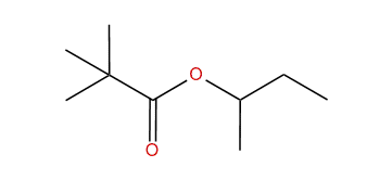 sec-Butyl pivalate